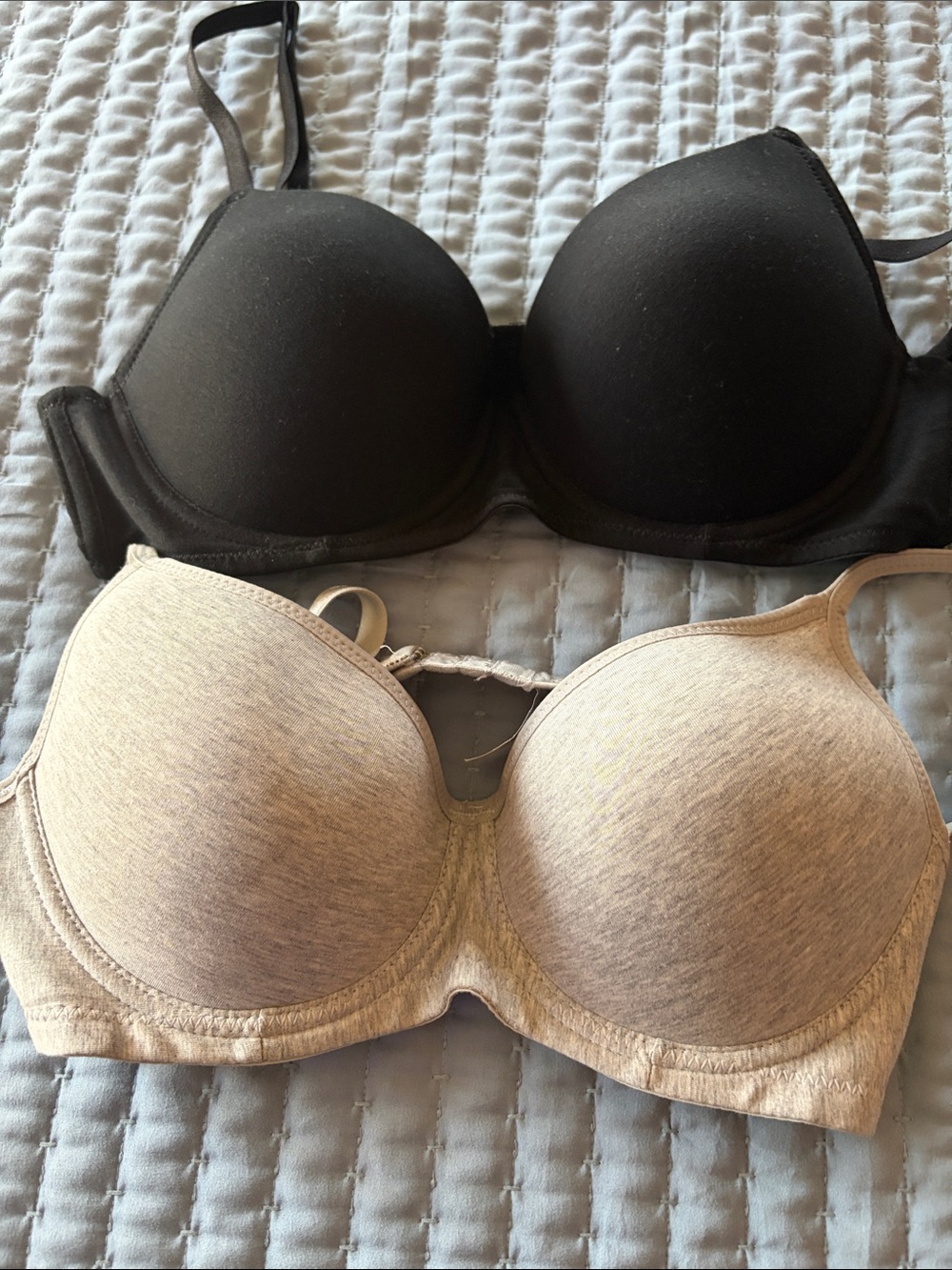 Everyday Molded T-Shirt Bras in Black and Light Gray - Comfortable Support